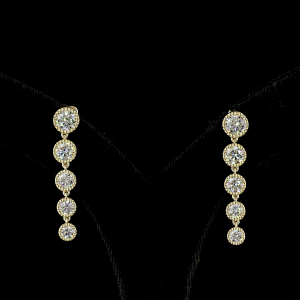 Earring - ER9228
